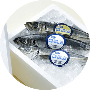 水に濡れた後でもきれいに剥がすことが可能