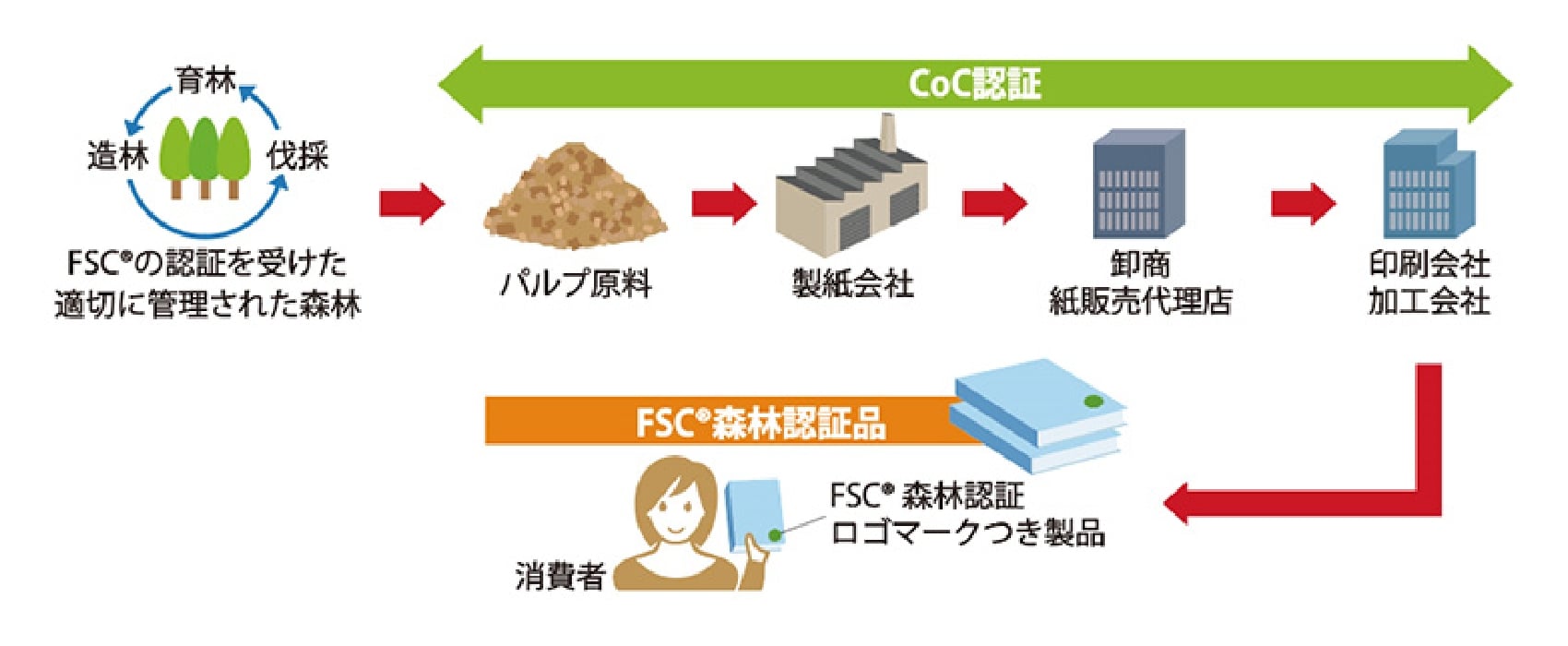 特徴